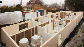 Open days for a sustainable wooden cellar